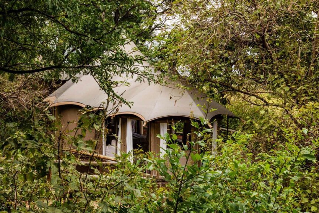 African Monarch Lodges Family Accommodation