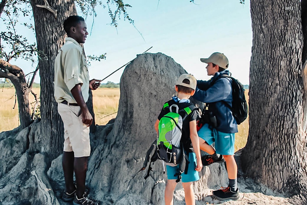 African Monarch Lodges Kids On Safari