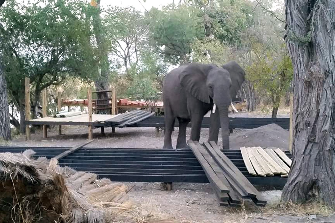 Constructing Nambwa Tented Lodge