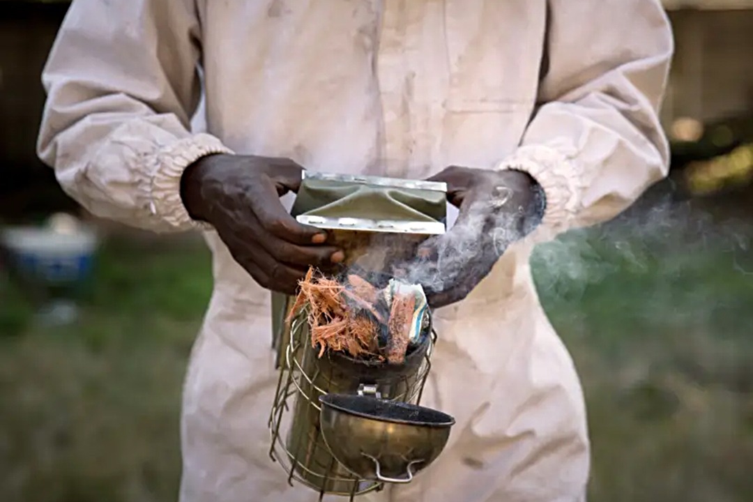 African Monarch Lodges Sijwa Beehive Project