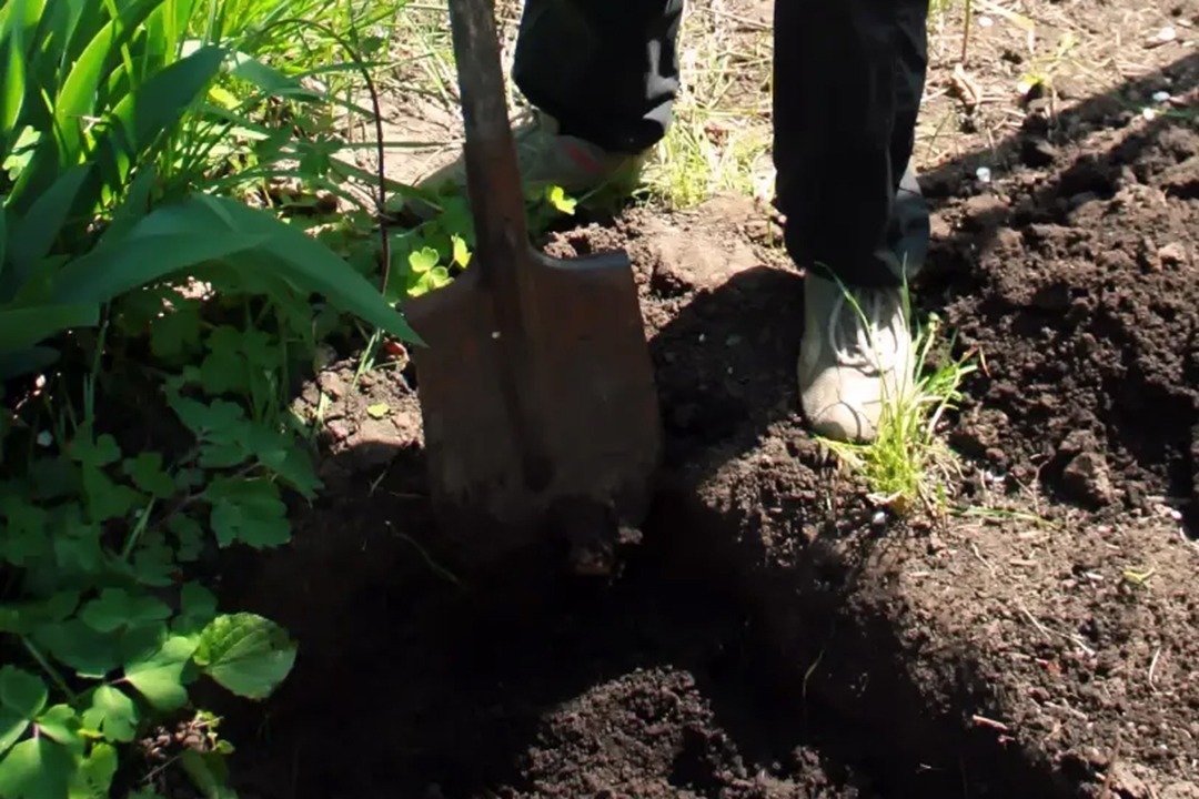 African Monarch Lodges Sijwa Permaculture Project