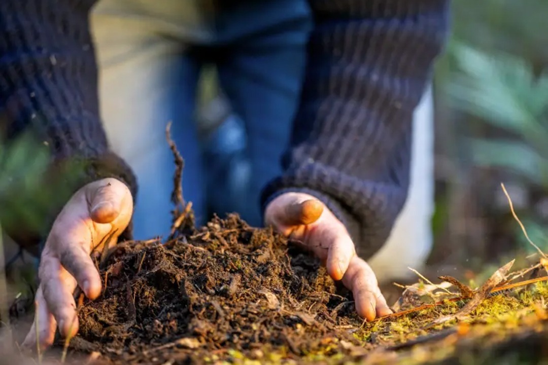 African Monarch Lodges Sijwa Permaculture Project