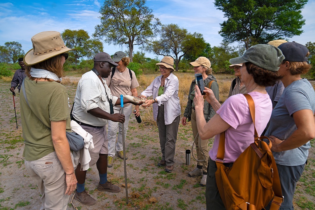 African Monarch Lodges Bush Walk