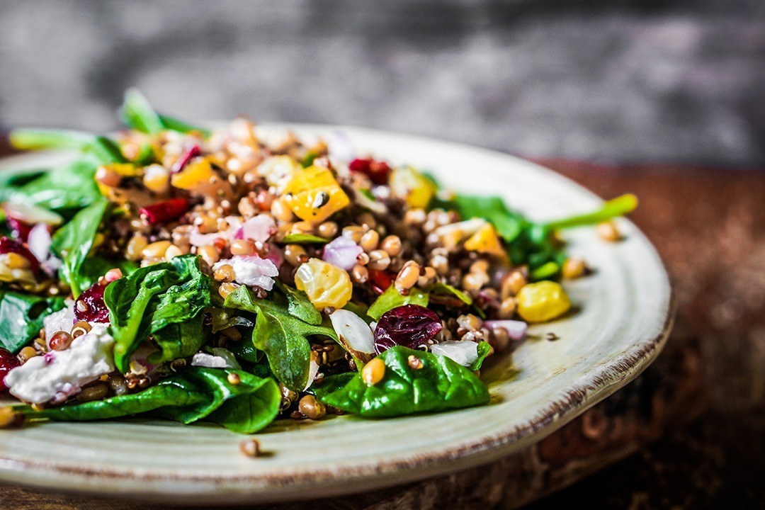 African Monarch Lodges Retreat Salad