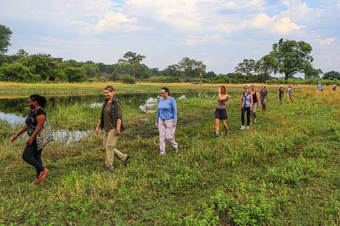 African Monarch Lodges Retreats In The-Wild