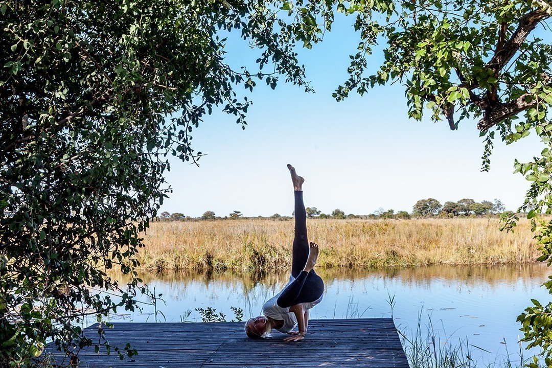 African Monarch Lodges Yoga In The Wild