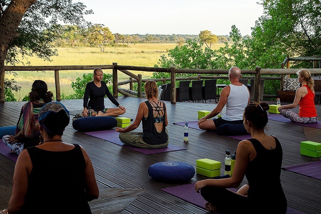 African Monarch Lodges Yoga In The Wild