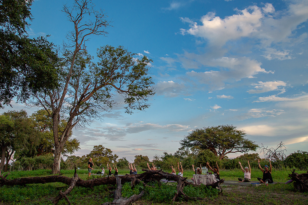 African Monarch Lodges Yoga In The Wild