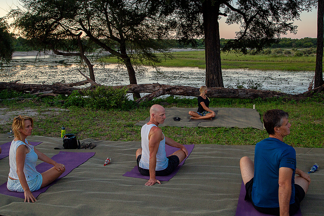 African Monarch Lodges Yoga In The Wild