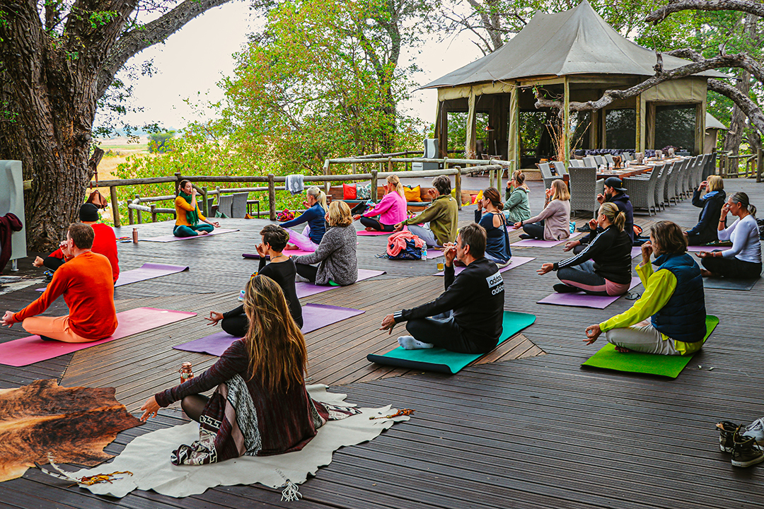 African Monarch Lodges Yoga In The Wild