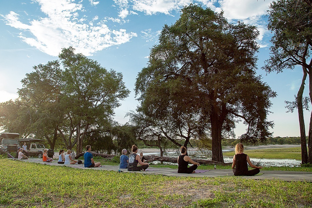 African Monarch Lodges Yoga In The Wild