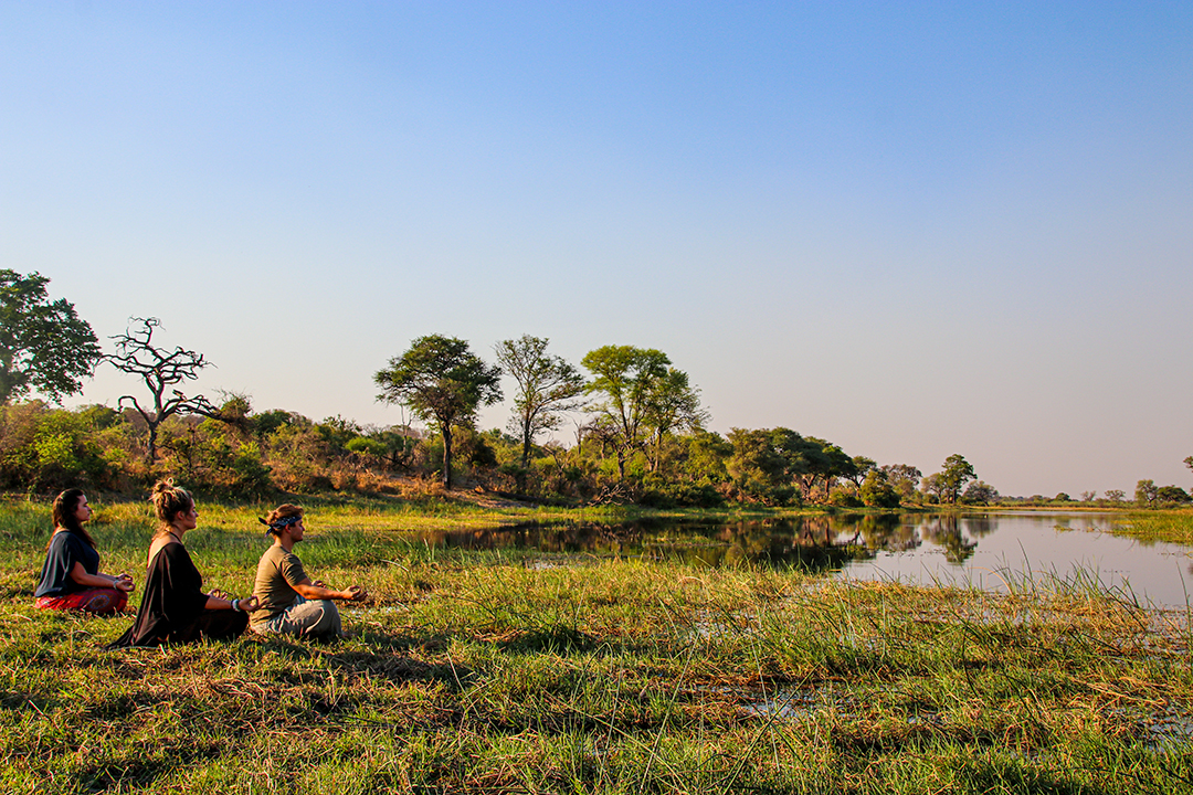 African Monarch Lodges Yoga In The Wild