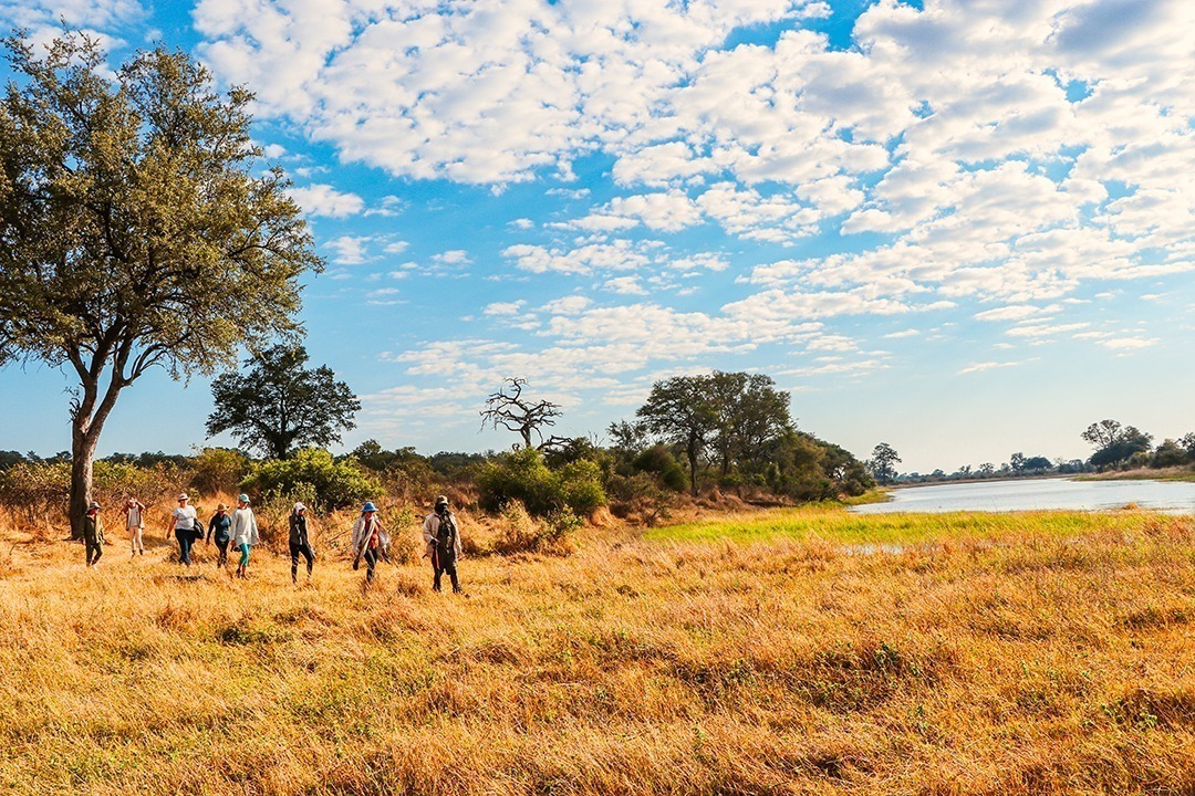 African Monarch Lodges Yoga In The Wild